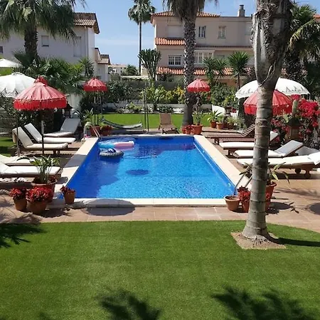 Palm Garden: 5 Minutes Walking From Beach. Amaizing Garden/outdoor
