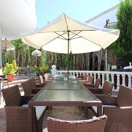 Palm Garden: 5 Minutes Walking From Beach. Amaizing Garden/outdoor